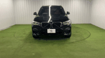 BMW&nbsp;X3の360°画像のサムネイル